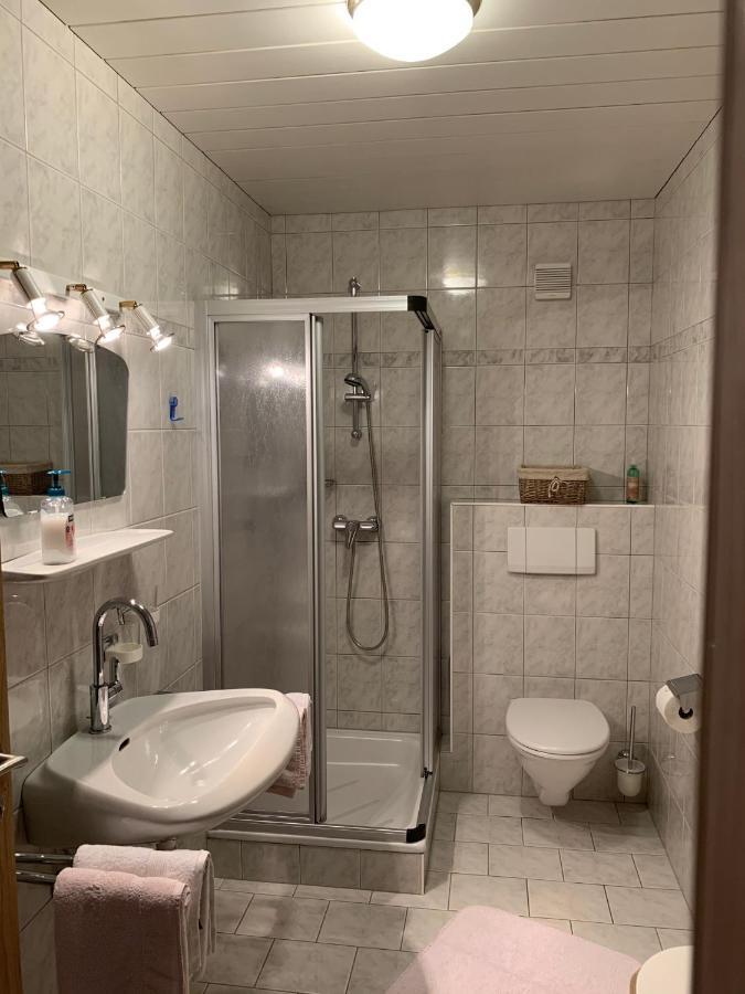 Apartements Birkenhof Maria Alm am Steinernen Meer Dış mekan fotoğraf